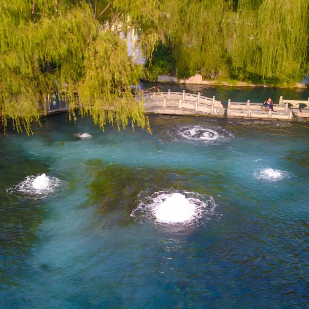 泗水龍魚(yú)最出名三個(gè)地方，哈爾濱泗水龍魚(yú)最出名的三個(gè)地方 泗水龍魚(yú)最出名三個(gè)地方，哈爾濱泗水龍魚(yú)最出名的三個(gè)地方 龍魚(yú)百科 第3張