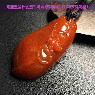 什么叫龍血玉圖片，菏澤廣電網(wǎng)龍血玉是什么玉與翡翠有何不同功效