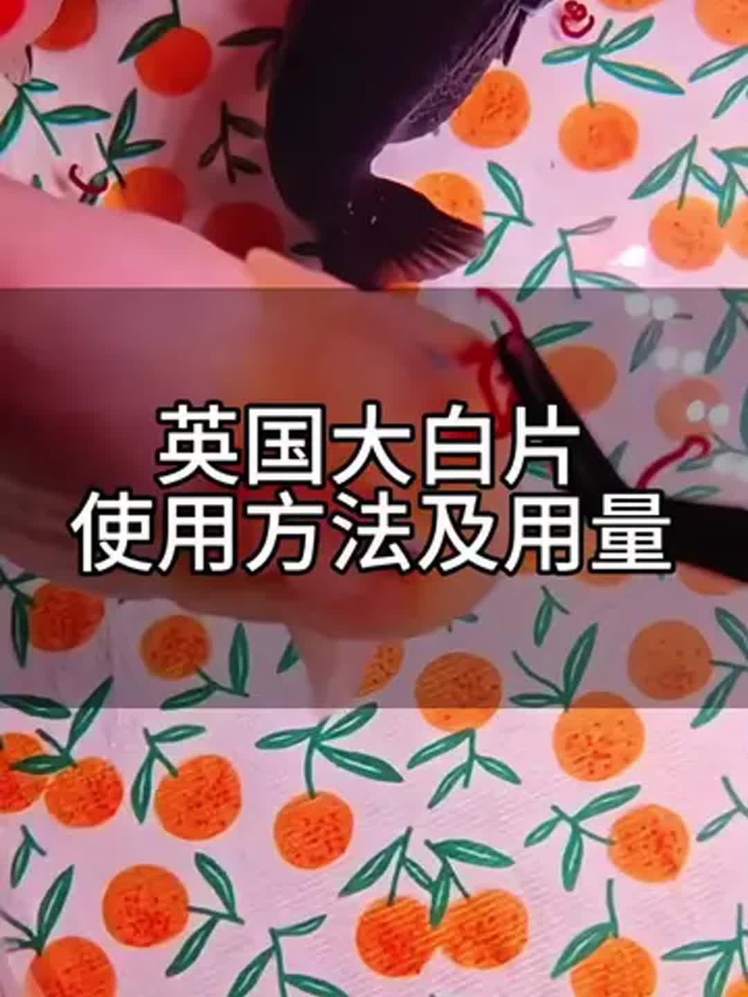 如何給龍魚做內外寄檢查？，《如何給龍魚做內外寄檢查》龍魚內外寄生蟲檢查的標準醫學方法