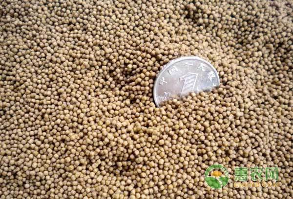 如何判斷龍魚飼料的質量？，《如何判斷龍魚飼料的質量？》