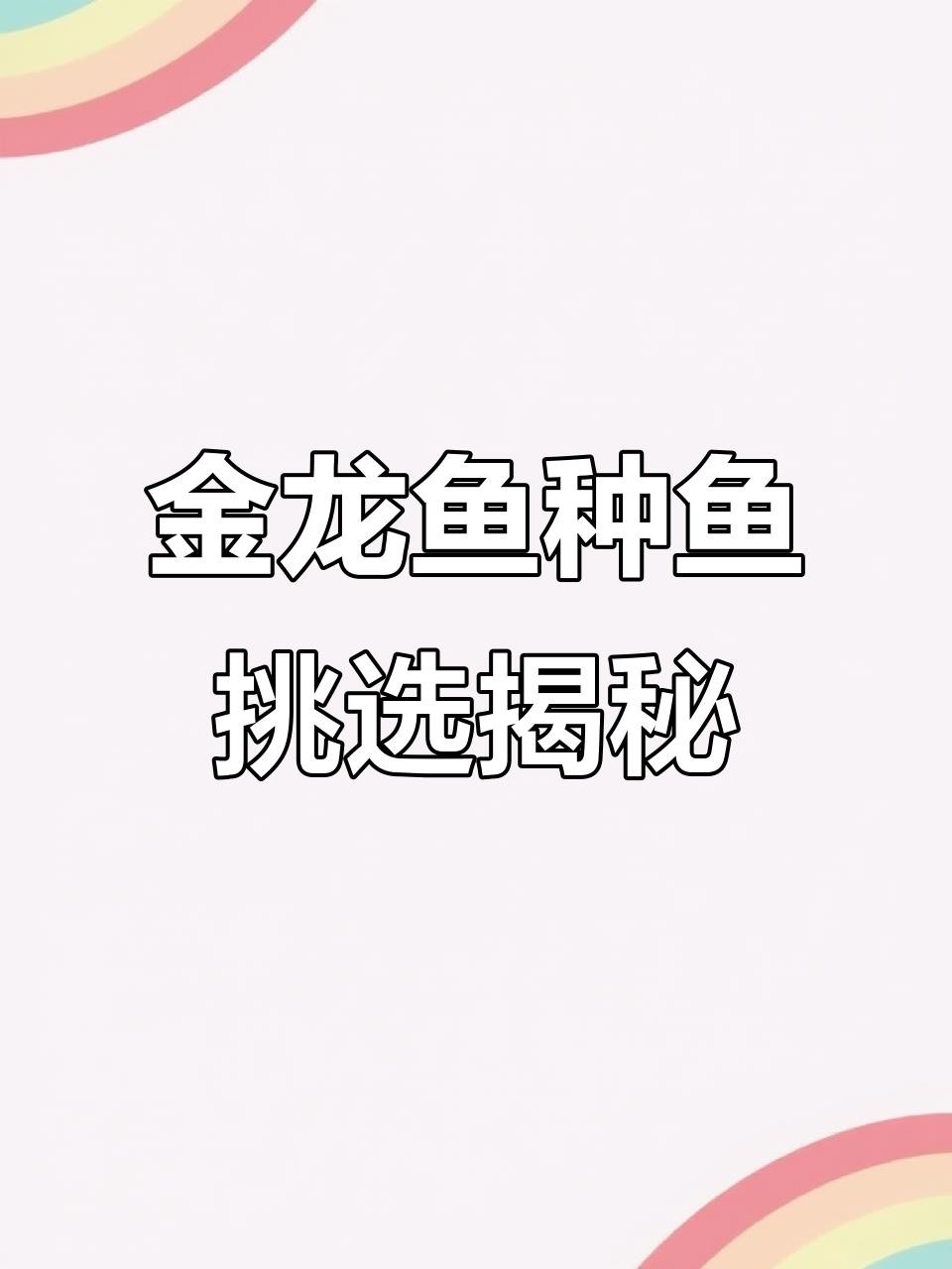 如何挑選健康的藍底過背金龍魚？，如何挑選健康優質的藍底過背金龍魚