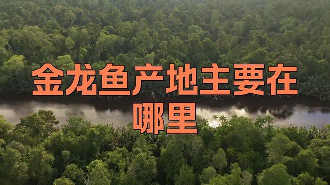 再給我提供一些金龍魚觀賞魚的產地信息，金龍魚產地在哪里