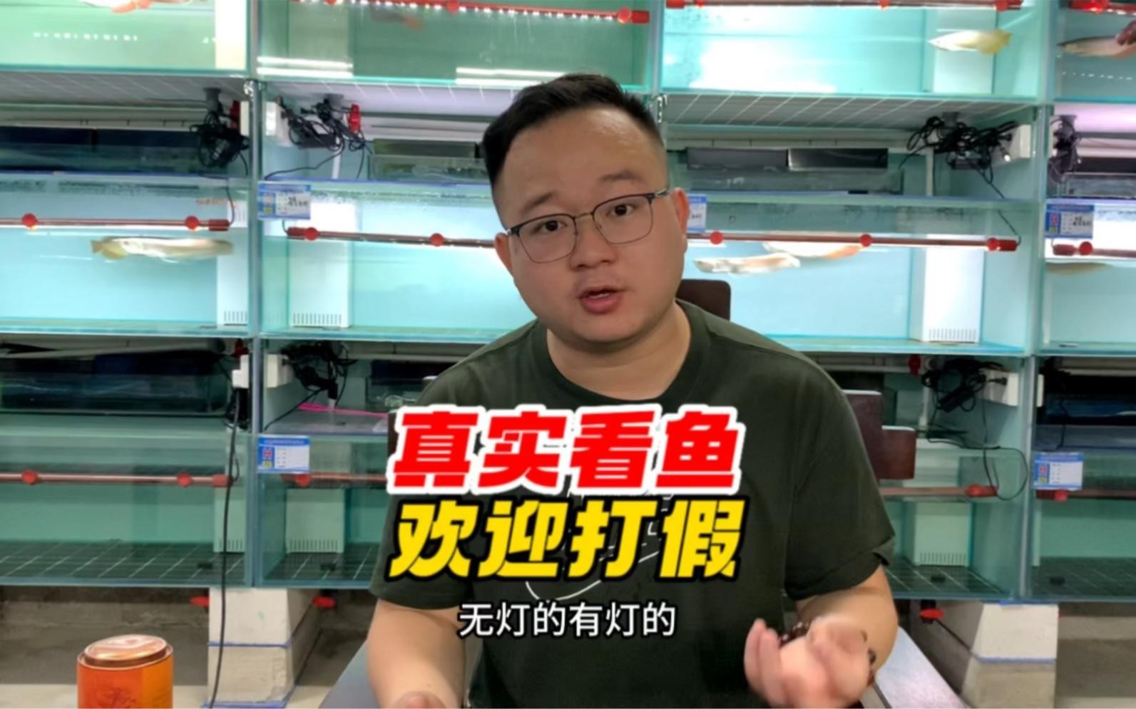 如何拍攝高質量的金龍魚視頻素材？，拍攝高質量金龍魚視頻素材