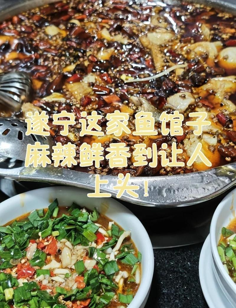 遂寧龍魚店，遂寧美食探秘