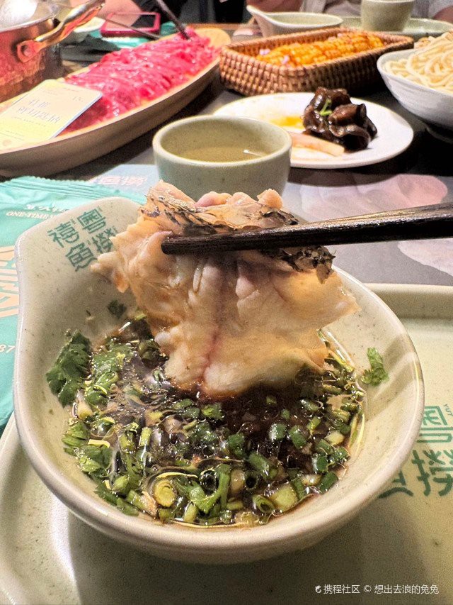 中甸龍魚店，“中甸龍魚店”的具體信息公開資料中未查詢到關于“中甸龍魚店”的具體信息 中甸龍魚店，“中甸龍魚店”的具體信息公開資料中未查詢到關于“中甸龍魚店”的具體信息 全國水族館企業名錄 第4張