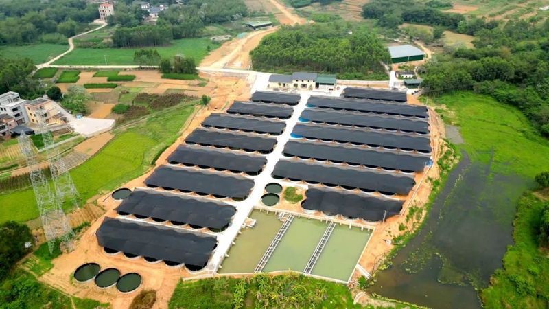 貴港魚缸批發市場，廣西重要的水族用品集散地——貴港魚缸批發市場 貴港魚缸批發市場，廣西重要的水族用品集散地——貴港魚缸批發市場 全國水族館企業名錄 第8張