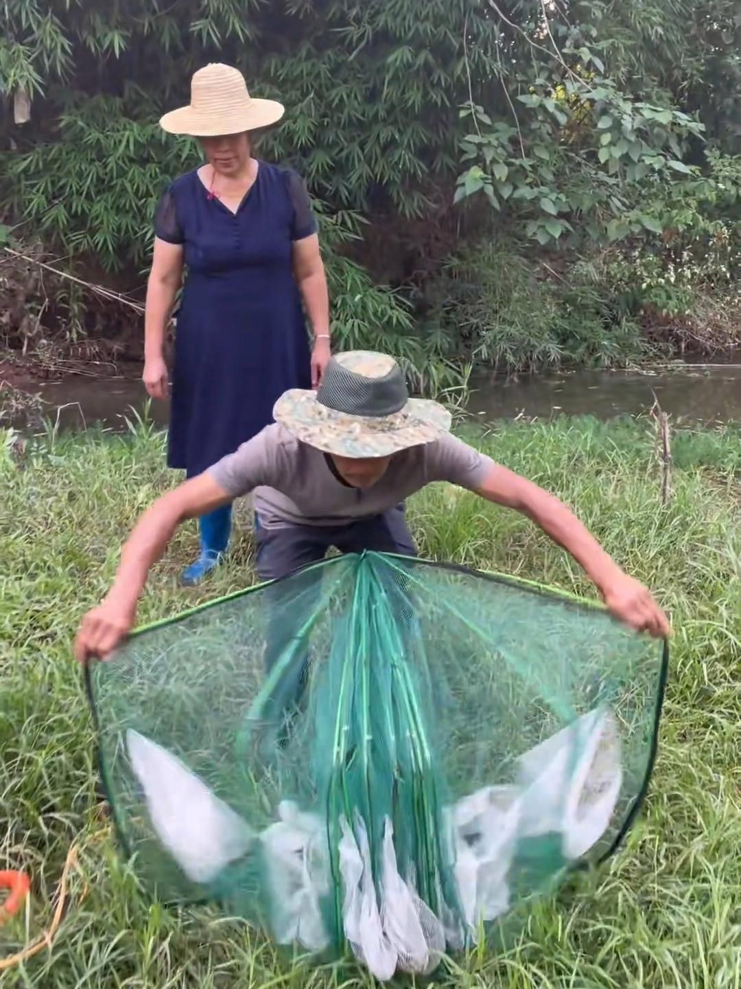 魚籠的材質(zhì)哪種最好，《魚籠的材質(zhì)哪種最好》