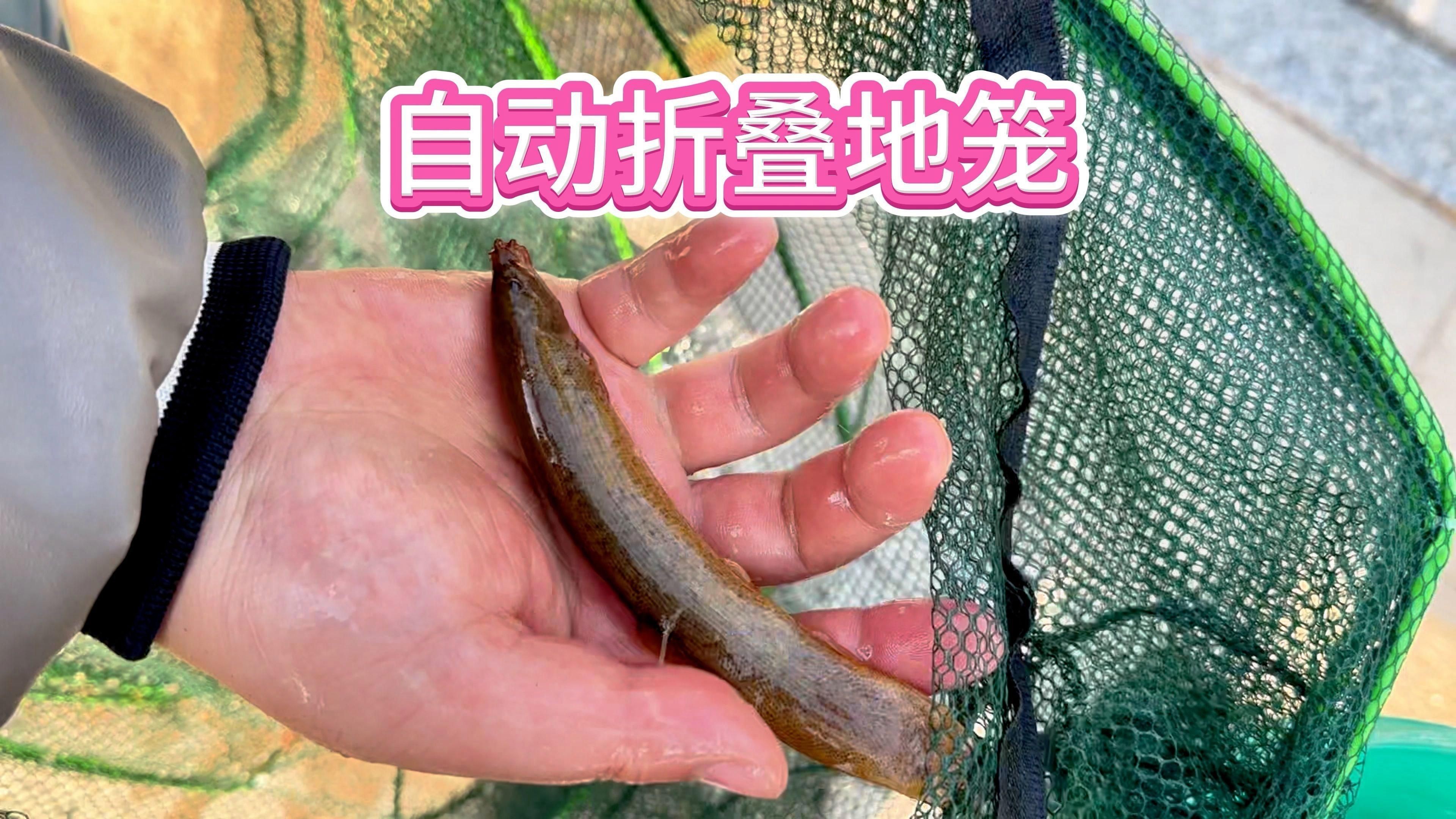 魚籠的材質(zhì)哪種最好，《魚籠的材質(zhì)哪種最好》