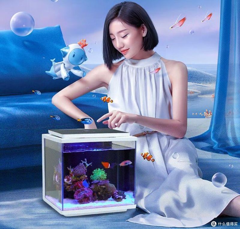 家庭用水族魚缸，家庭水族魚缸選購與養護全攻略