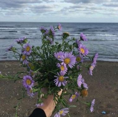 赤峰水族店，紅山區世堯水族大世界店 赤峰水族店，紅山區世堯水族大世界店 全國水族館企業名錄 第11張