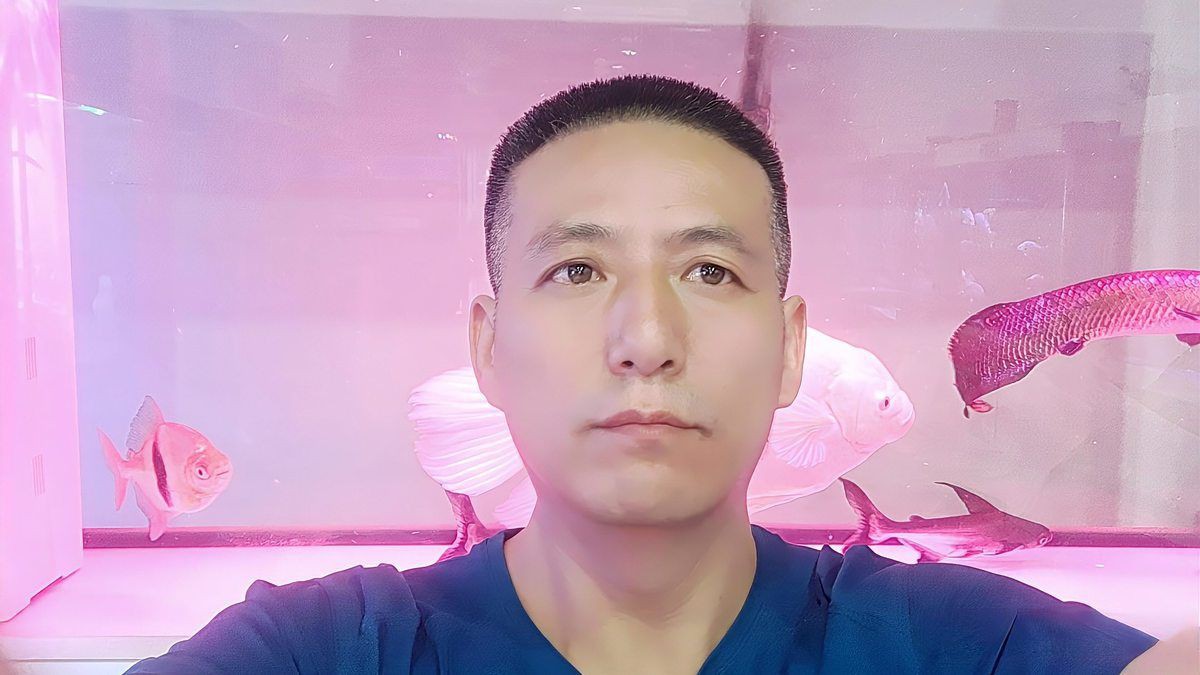 楊凌水族店，楊凌地區水族店分布廣泛且各具特色