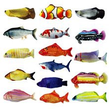 假金龍魚的市場價(jià)格是多少？，假金龍魚價(jià)格多少錢一條