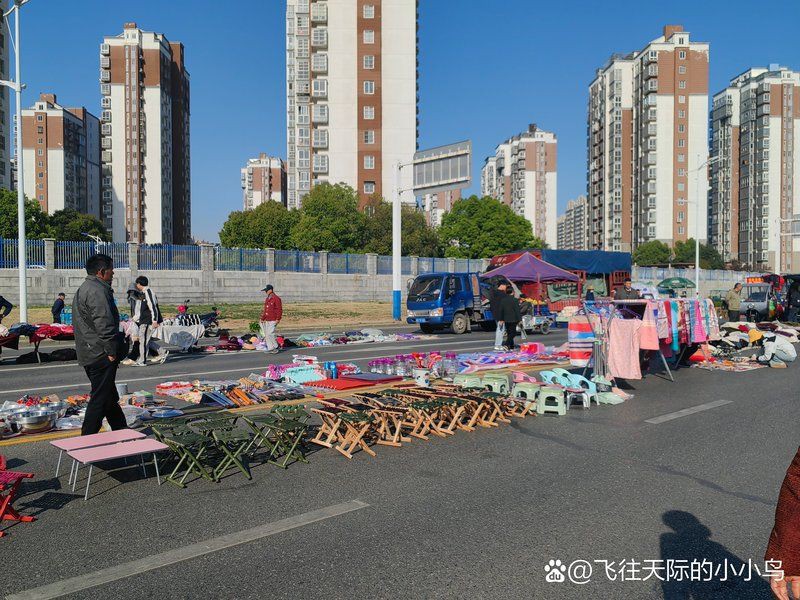 滁州水族批發市場，滁州水族批發市場是一個集多種業務于一體的業務于一體的綜合性市場 滁州水族批發市場，滁州水族批發市場是一個集多種業務于一體的業務于一體的綜合性市場 全國水族館企業名錄 第3張