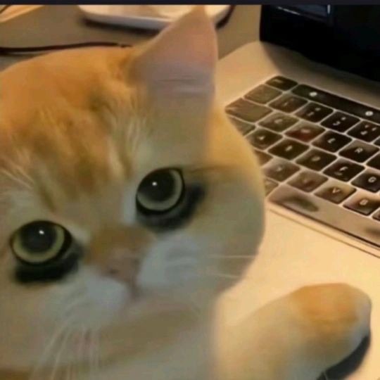 阿里魚缸維護，家庭魚缸水質維護 阿里魚缸維護，家庭魚缸水質維護 全國水族館企業名錄 第14張