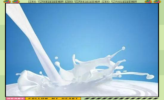 佛家十大忌口食物，佛家十大忌口食物及其深層邏輯