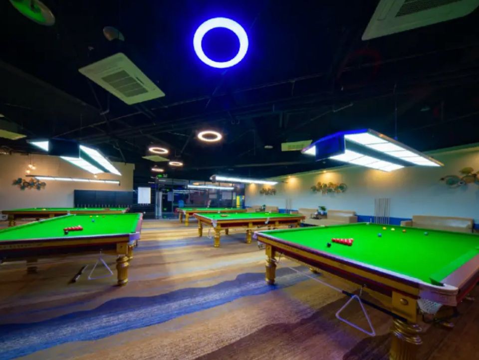 林芝魚缸店，林芝地區的魚缸店展現出獨特的地域特色與專業服務