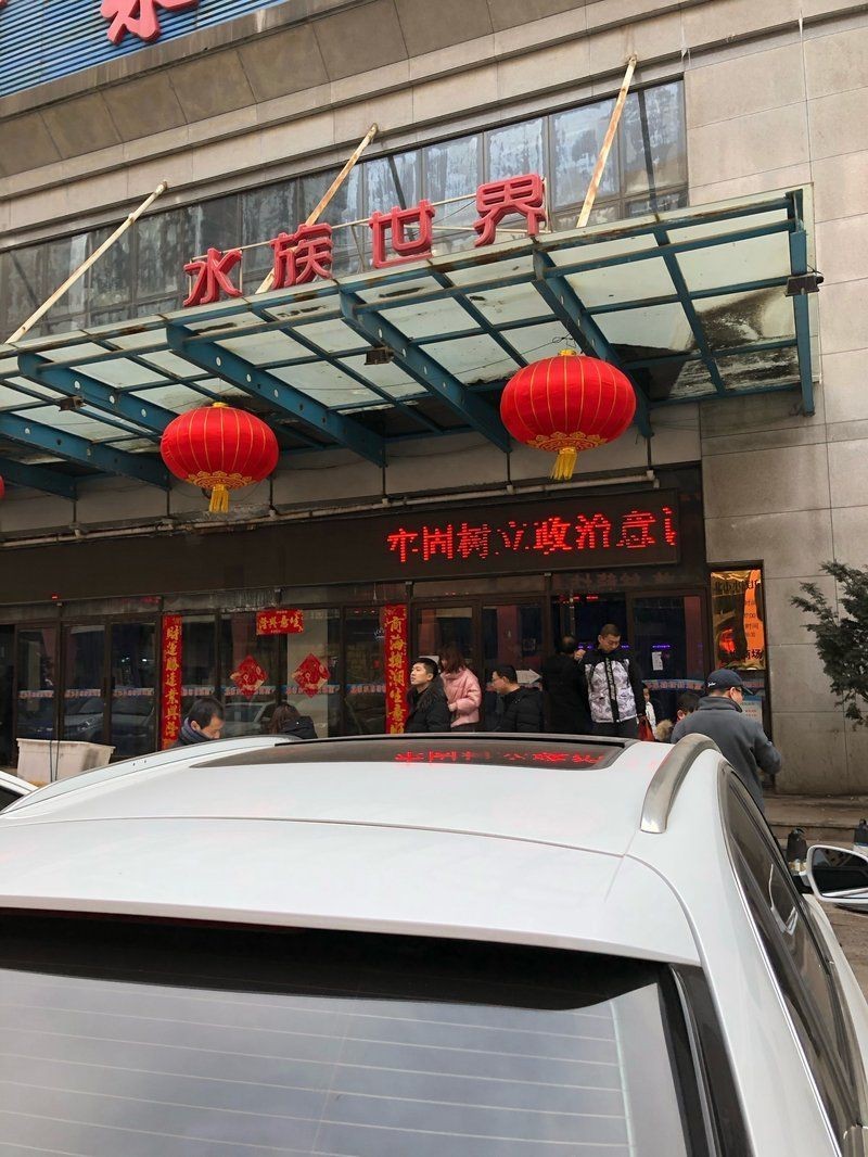 沈陽魚缸批發市場，沈陽魚缸批發市場的優勢