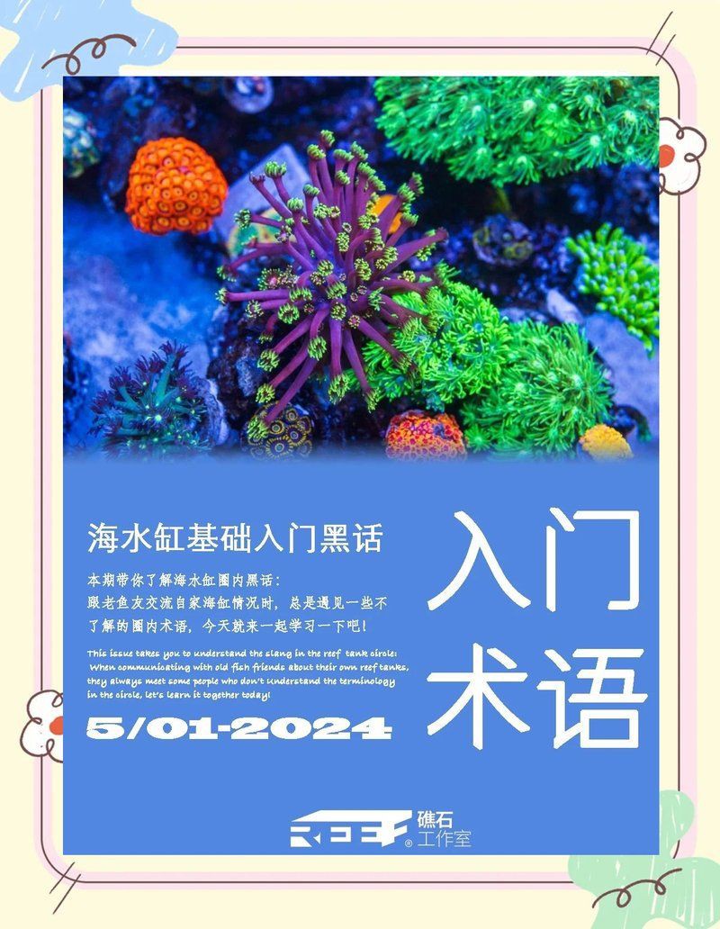 韶關(guān)水族批發(fā)市場，韶關(guān)水族市場等你來探索,