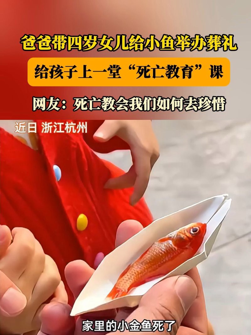 如何為龍魚舉行簡單的告別儀式？，《如何為龍魚舉行簡單的告別儀式》當心愛的龍魚離去 如何為龍魚舉行簡單的告別儀式？，《如何為龍魚舉行簡單的告別儀式》當心愛的龍魚離去 龍魚百科 第7張