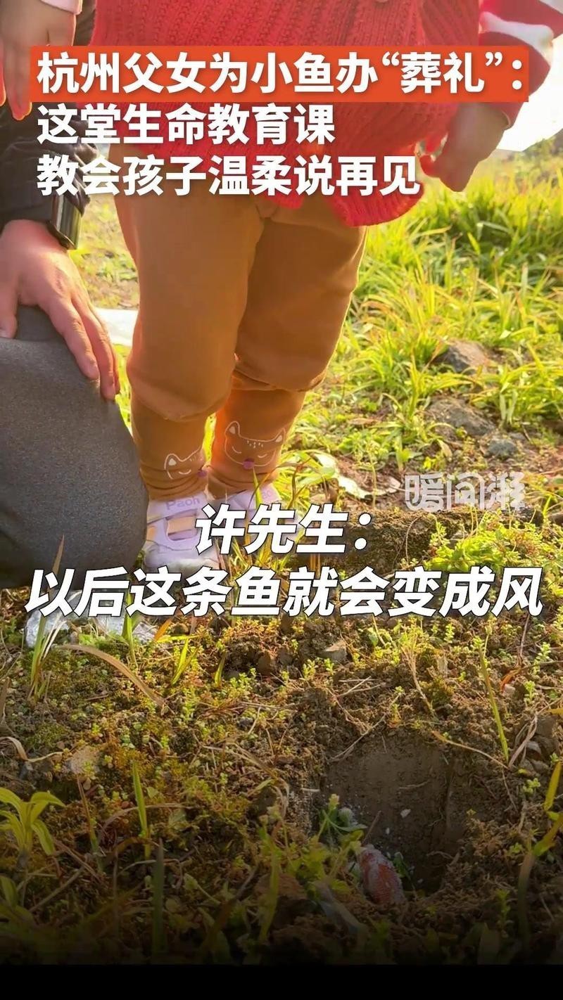 如何為龍魚舉行簡單的告別儀式？，《如何為龍魚舉行簡單的告別儀式》當心愛的龍魚離去 如何為龍魚舉行簡單的告別儀式？，《如何為龍魚舉行簡單的告別儀式》當心愛的龍魚離去 龍魚百科 第6張