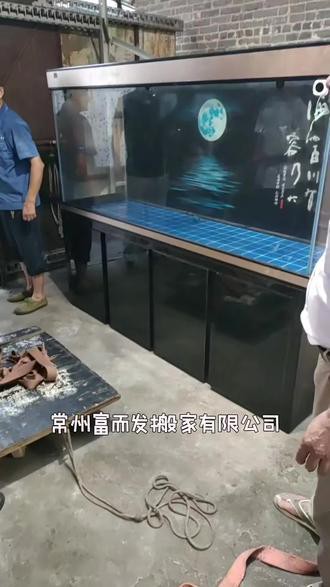 戚墅堰龍魚(yú)店，常州戚墅堰龍魚(yú)店哪家口碑最好如何在戚墅堰找到靠譜的龍魚(yú)店 戚墅堰龍魚(yú)店，常州戚墅堰龍魚(yú)店哪家口碑最好如何在戚墅堰找到靠譜的龍魚(yú)店 全國(guó)水族館企業(yè)名錄 第6張