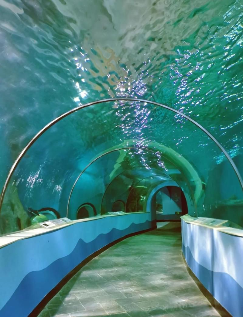 蘇州水族店，蘇州水族行業發展趨勢