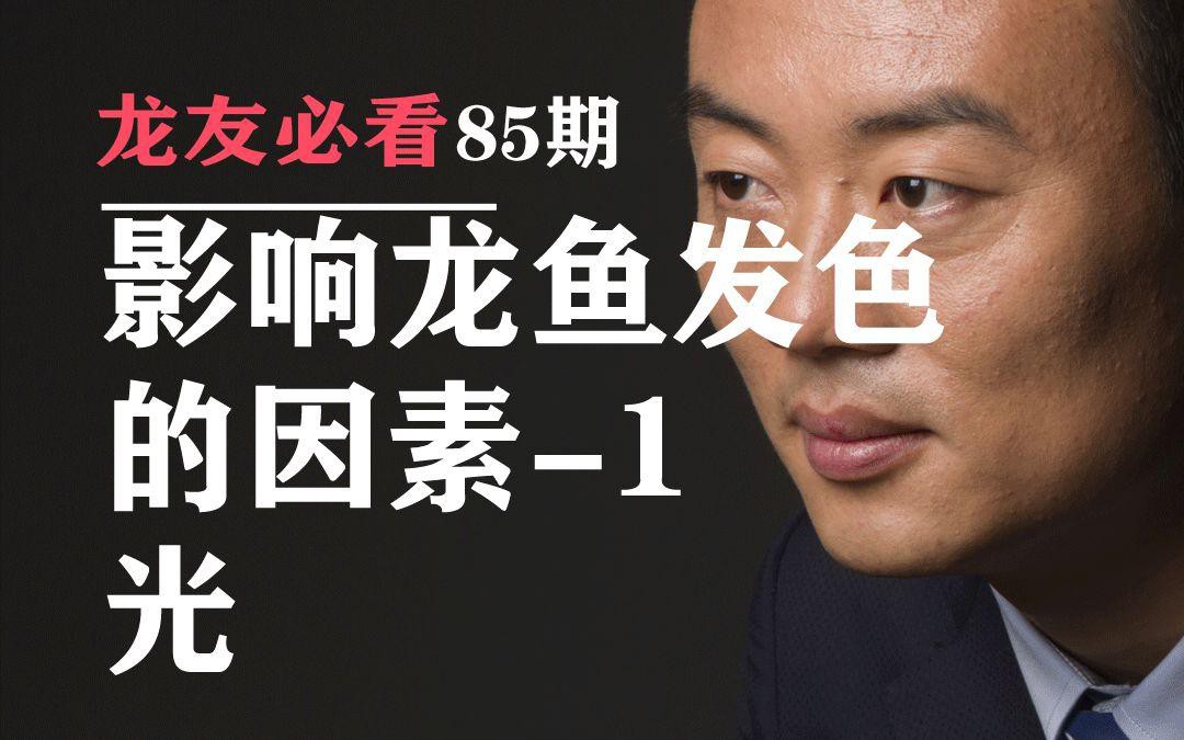 古典藍底過背金龍魚發色需要哪些條件？，古典藍底過背金龍魚什么時候發色囍囍
