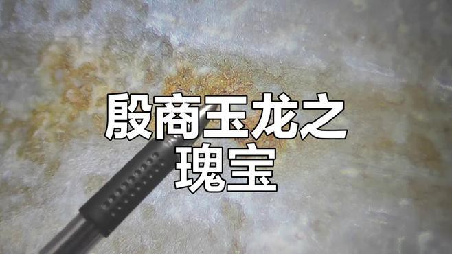 如何鑒別龍頭魚尾擺件的真偽？，《如何鑒別龍頭魚尾擺件的真偽》