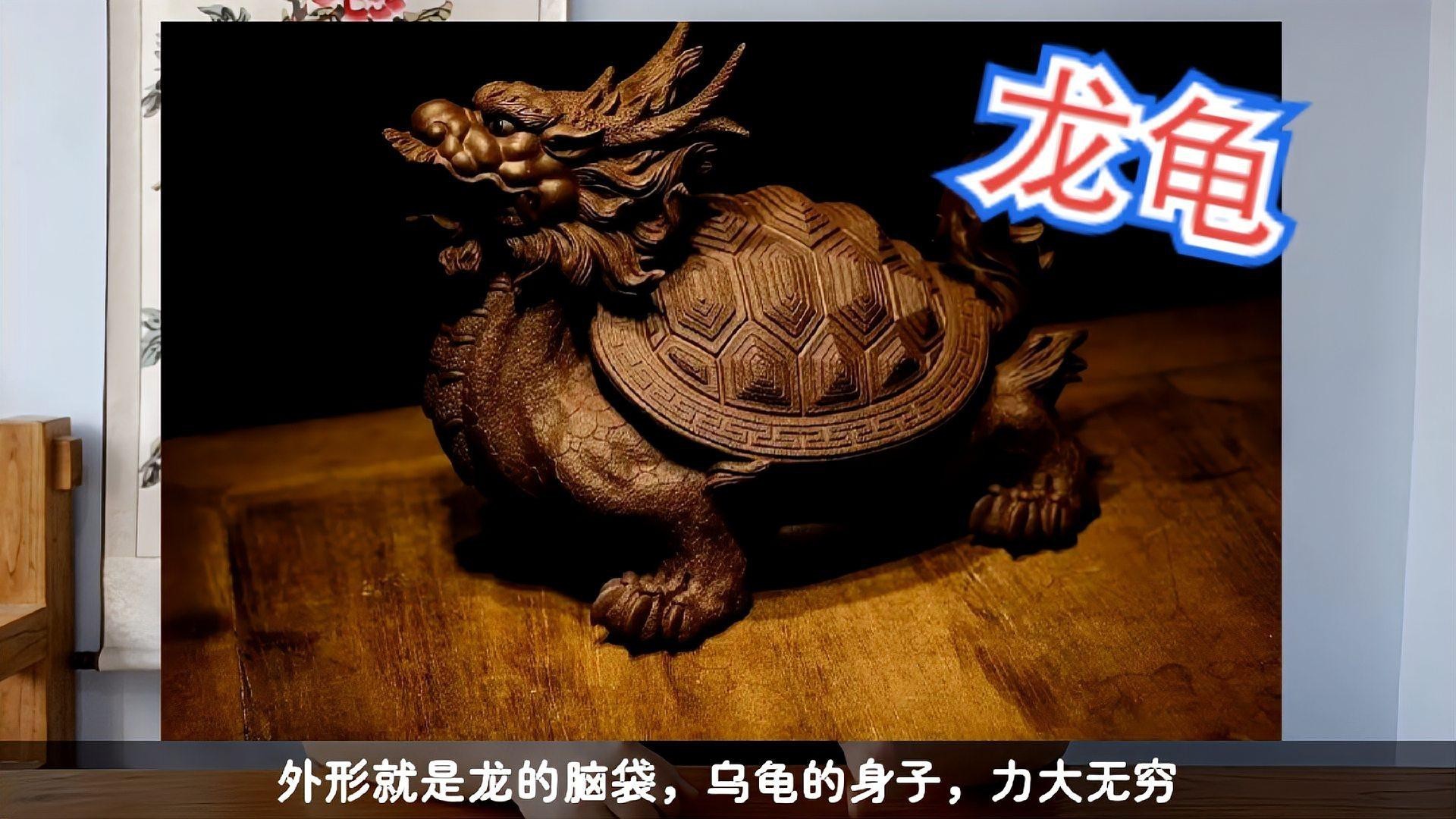 哪款龍龜最適合放在臥室？，《哪款龍龜最適合放在臥室》在眾多風水擺件中，龍龜備受青睞 哪款龍龜最適合放在臥室？，《哪款龍龜最適合放在臥室》在眾多風水擺件中，龍龜備受青睞 龍魚百科 第4張