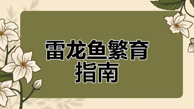 巴卡雷龍繁殖需要哪些設備，巴卡雷龍繁殖對設備有一定要求，魚缸空間至關重要，建議至少60cm大小