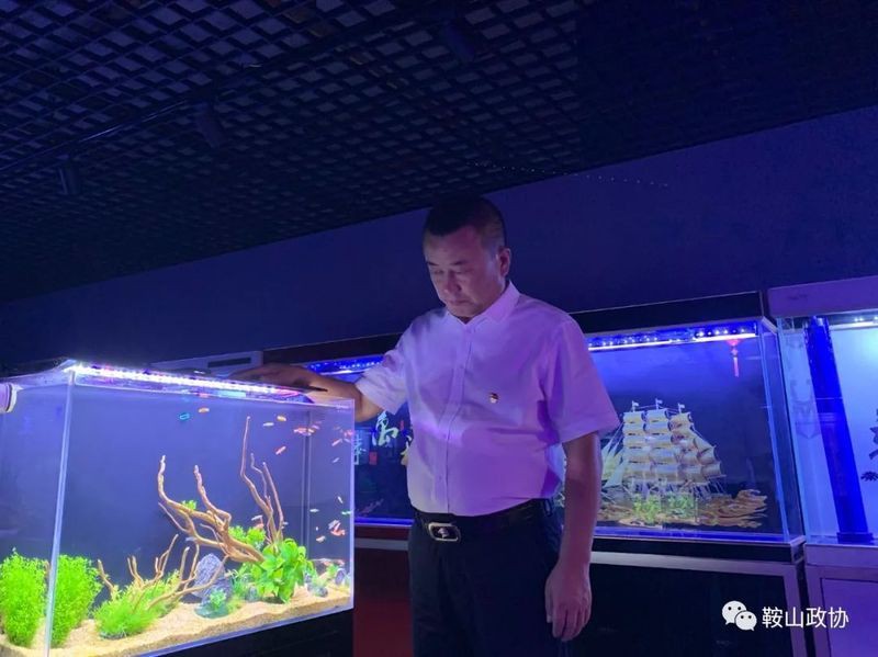 鞍山魚缸批發市場，鞍山三臺子觀賞魚交易中心