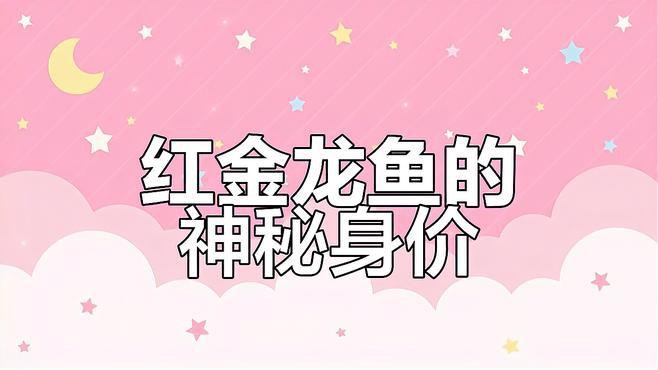 如何辨別紅金龍魚的品種?,教你輕松辨別真假紅金龍魚,視頻揭秘! 龍魚百科 第4張 如何辨別紅金龍魚的品種?,教你輕松辨別真假紅金龍魚,視頻揭秘! 如何辨別紅金龍魚的品種?,教你輕松辨別真假紅金龍魚,視頻揭秘! 龍魚百科 第4張