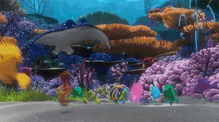 福分是什么魚，海洋中最溫柔的巨人蝠鲼（fufen）是海洋中最溫柔的巨人 福分是什么魚，海洋中最溫柔的巨人蝠鲼（fufen）是海洋中最溫柔的巨人 龍魚論壇 第6張