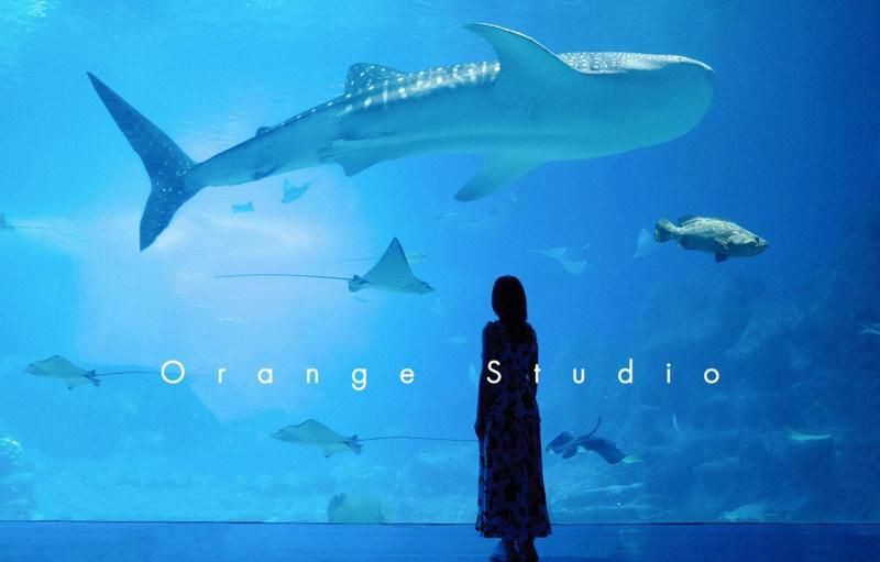藍天水族店，“藍天水族店”是一家專注于水族用品零售與服務的連鎖品牌