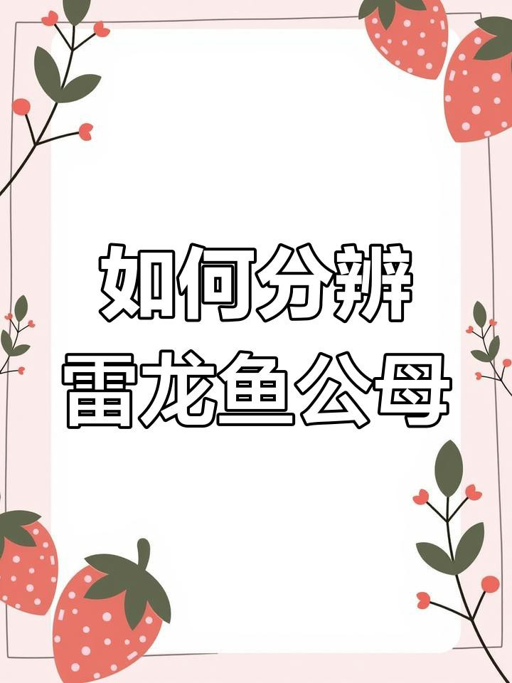 如何區分七彩雷龍魚的公母？，七彩雷龍魚公母分辨技巧,四種方法教你輕松辨別 如何區分七彩雷龍魚的公母？，七彩雷龍魚公母分辨技巧,四種方法教你輕松辨別 龍魚百科 第1張