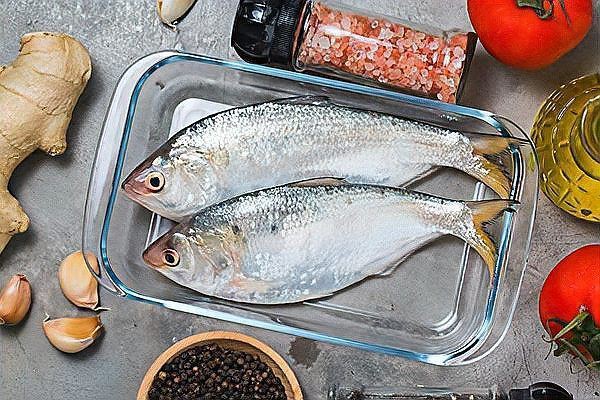 鰳魚俗稱什么魚，吃一口鰳魚把春天吃進肚里 鰳魚俗稱什么魚，吃一口鰳魚把春天吃進肚里 龍魚百科 第5張