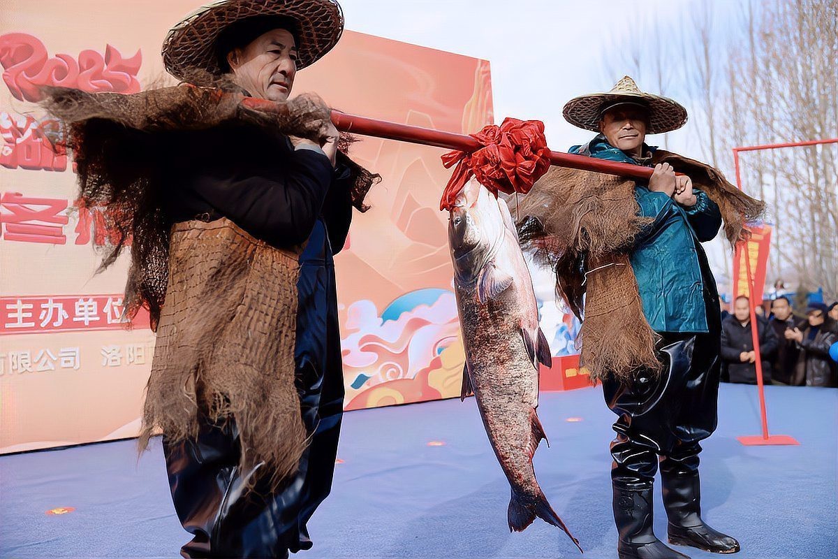 嵩縣龍魚店，嵩縣:一湖碧水景如畫“融湖”激發鄉村振興新活力