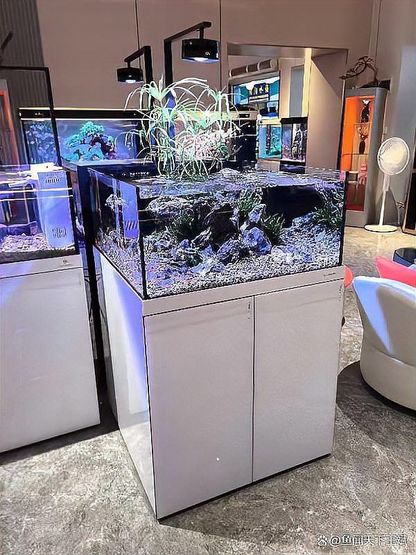赤峰龍魚店，我們赤峰四十年·商貿篇 赤峰龍魚店，我們赤峰四十年·商貿篇 全國水族館企業名錄 第7張