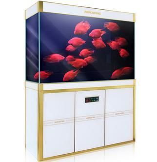 迪慶藏族自治州魚缸店，藏在魚缸里的“藍海”