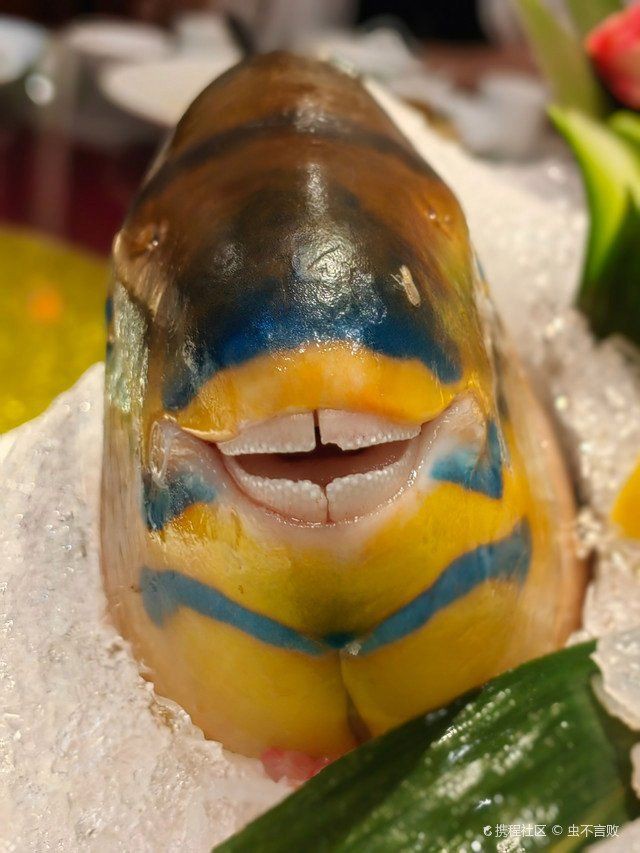 廣州最大的淡水魚批發(fā)市場(chǎng)，廣州最大淡水魚批發(fā)市場(chǎng)——黃沙水產(chǎn)交易市場(chǎng) 廣州最大的淡水魚批發(fā)市場(chǎng)，廣州最大淡水魚批發(fā)市場(chǎng)——黃沙水產(chǎn)交易市場(chǎng) 全國(guó)水族館企業(yè)名錄 第5張