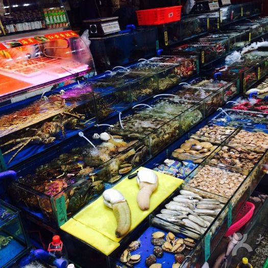 廣州最大的淡水魚批發(fā)市場(chǎng)，廣州最大淡水魚批發(fā)市場(chǎng)——黃沙水產(chǎn)交易市場(chǎng) 廣州最大的淡水魚批發(fā)市場(chǎng)，廣州最大淡水魚批發(fā)市場(chǎng)——黃沙水產(chǎn)交易市場(chǎng) 全國(guó)水族館企業(yè)名錄 第1張