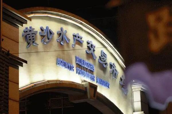 廣州最大的淡水魚批發(fā)市場(chǎng)，廣州最大淡水魚批發(fā)市場(chǎng)——黃沙水產(chǎn)交易市場(chǎng) 廣州最大的淡水魚批發(fā)市場(chǎng)，廣州最大淡水魚批發(fā)市場(chǎng)——黃沙水產(chǎn)交易市場(chǎng) 全國(guó)水族館企業(yè)名錄 第7張