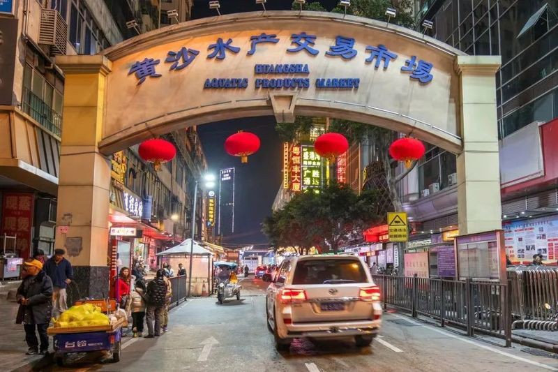 廣州最大的淡水魚批發(fā)市場(chǎng)，廣州最大淡水魚批發(fā)市場(chǎng)——黃沙水產(chǎn)交易市場(chǎng) 廣州最大的淡水魚批發(fā)市場(chǎng)，廣州最大淡水魚批發(fā)市場(chǎng)——黃沙水產(chǎn)交易市場(chǎng) 全國(guó)水族館企業(yè)名錄 第3張