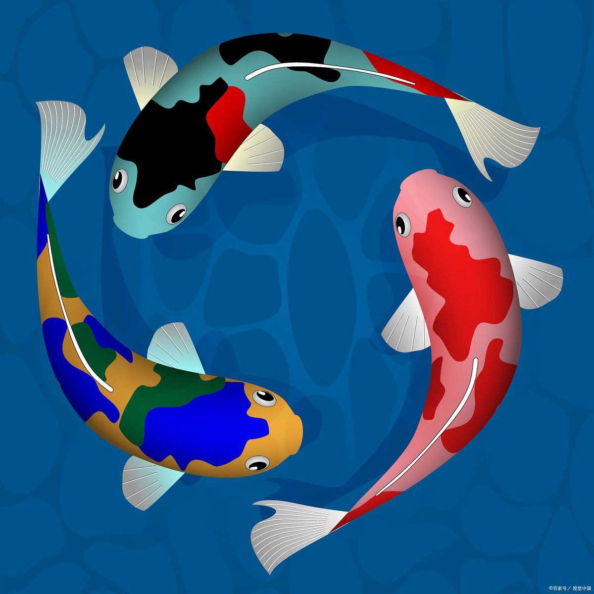 好運(yùn)錦鯉的寓意和象征，錦鯉的寓意和寓意 好運(yùn)錦鯉的寓意和象征，錦鯉的寓意和寓意 全國水族館企業(yè)名錄 第15張