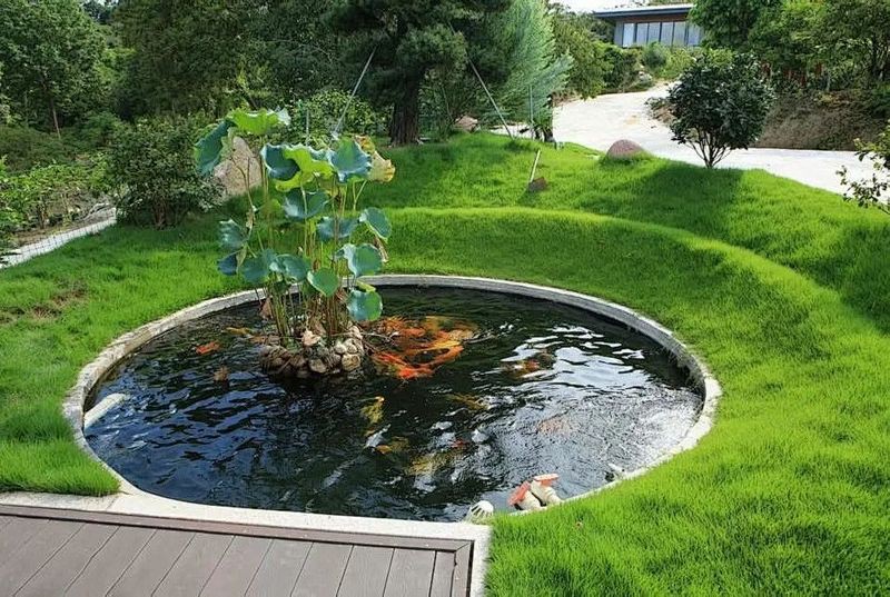 哪些漁場提供頂級紅龍魚？，祥龍魚場是觀賞魚行業中具有顯著影響力的企業 哪些漁場提供頂級紅龍魚？，祥龍魚場是觀賞魚行業中具有顯著影響力的企業 龍魚百科 第6張