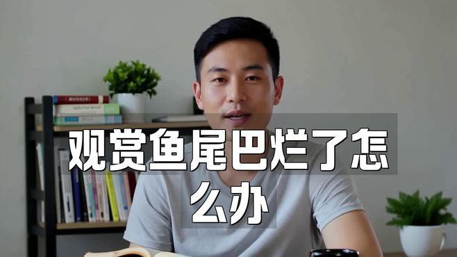 如何判斷龍睛金魚是否得了爛尾病？，龍睛金魚爛尾病如何區(qū)分觀賞魚爛尾是哪種原因引起的