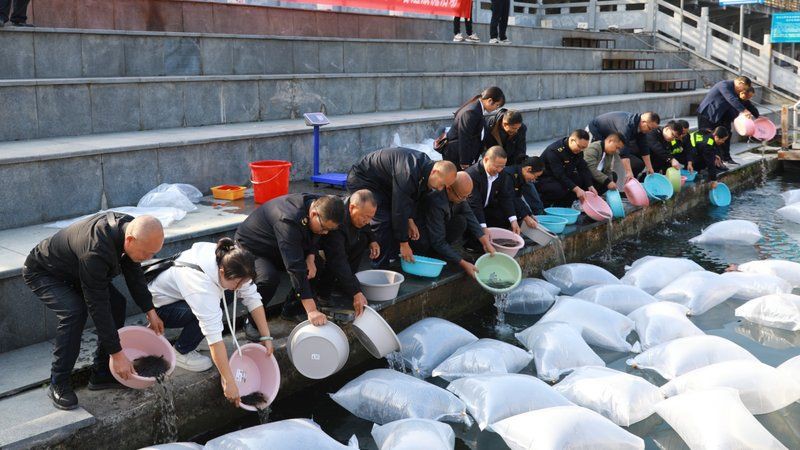 黔東南苗族侗族自治州魚(yú)缸維護(hù)，黔東南苗族侗族自治州魚(yú)缸生態(tài)維護(hù)指南 黔東南苗族侗族自治州魚(yú)缸維護(hù)，黔東南苗族侗族自治州魚(yú)缸生態(tài)維護(hù)指南 全國(guó)水族館企業(yè)名錄 第10張