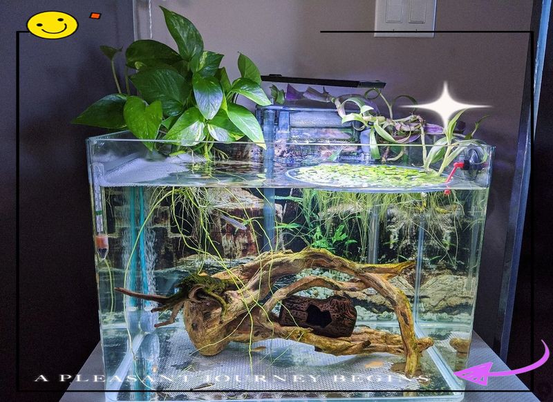白城魚缸維護，《白城魚缸維護》 白城魚缸維護，《白城魚缸維護》 全國水族館企業名錄 第2張