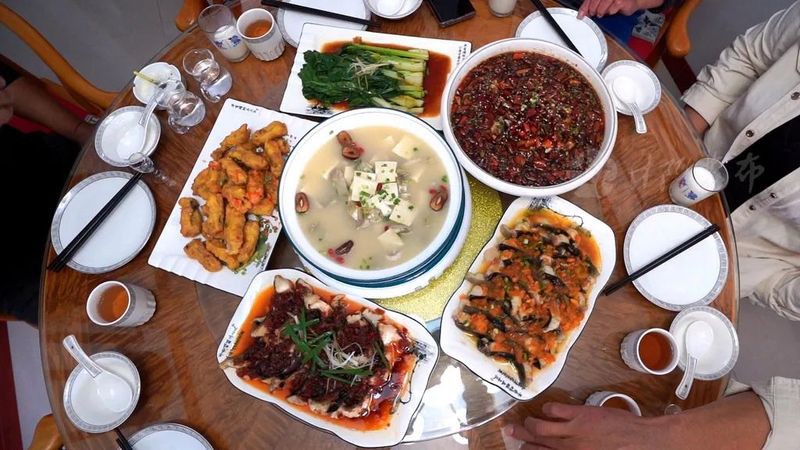 井陘龍魚(yú)店，井陘鱘魚(yú)的價(jià)格是多少 井陘龍魚(yú)店，井陘鱘魚(yú)的價(jià)格是多少 全國(guó)水族館企業(yè)名錄 第2張