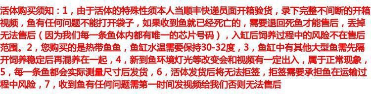 哪里可以批發到金龍魚苗，尋找金龍魚苗的批發渠道有多種選擇